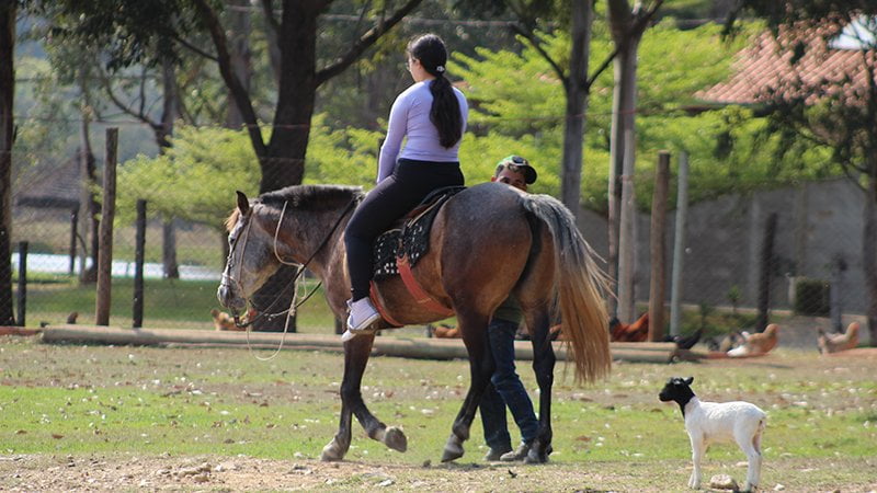 Vantagens de se hospedar em um hotel fazenda